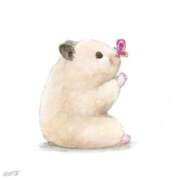 ヒメ日記 2025/03/05 20:53 投稿 体験なな ミセスコレクション