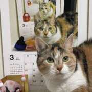 ヒメ日記 2025/03/06 08:03 投稿 体験なな ミセスコレクション