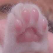 ヒメ日記 2025/03/06 12:04 投稿 体験なな ミセスコレクション