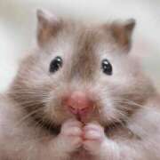 ヒメ日記 2025/03/06 20:59 投稿 体験なな ミセスコレクション