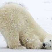 ヒメ日記 2025/03/06 23:53 投稿 体験なな ミセスコレクション