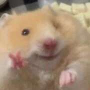 ヒメ日記 2025/03/07 20:03 投稿 体験なな ミセスコレクション