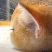 ヒメ日記 2025/03/07 22:23 投稿 体験なな ミセスコレクション