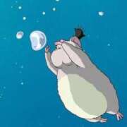 ヒメ日記 2025/03/08 12:04 投稿 体験なな ミセスコレクション