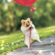 ヒメ日記 2025/03/08 18:13 投稿 体験なな ミセスコレクション