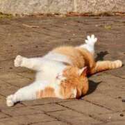 ヒメ日記 2025/03/08 22:43 投稿 体験なな ミセスコレクション