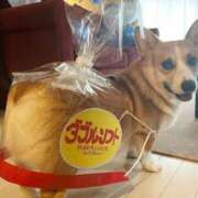 ヒメ日記 2025/03/09 08:03 投稿 体験なな ミセスコレクション