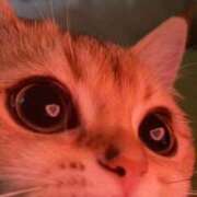 ヒメ日記 2025/03/10 18:17 投稿 体験なな ミセスコレクション