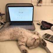 ヒメ日記 2025/03/11 12:04 投稿 体験なな ミセスコレクション