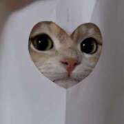 ヒメ日記 2025/03/11 22:34 投稿 体験なな ミセスコレクション