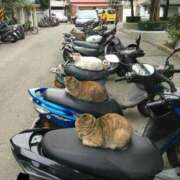 ヒメ日記 2025/03/11 22:43 投稿 体験なな ミセスコレクション