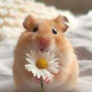 ヒメ日記 2025/03/12 08:13 投稿 体験なな ミセスコレクション