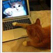 ヒメ日記 2025/03/14 00:13 投稿 体験なな ミセスコレクション