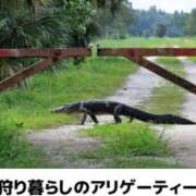 ヒメ日記 2025/03/14 00:33 投稿 体験なな ミセスコレクション