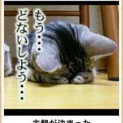 ヒメ日記 2025/03/14 00:46 投稿 体験なな ミセスコレクション