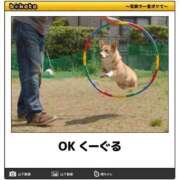 ヒメ日記 2025/03/14 08:03 投稿 体験なな ミセスコレクション