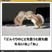 ヒメ日記 2025/03/14 12:04 投稿 体験なな ミセスコレクション