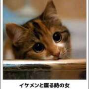 ヒメ日記 2025/03/14 21:03 投稿 体験なな ミセスコレクション