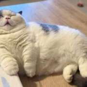 ヒメ日記 2025/03/15 01:33 投稿 体験なな ミセスコレクション