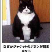 ヒメ日記 2025/03/15 03:23 投稿 体験なな ミセスコレクション