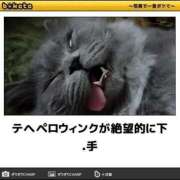 ヒメ日記 2025/03/15 03:33 投稿 体験なな ミセスコレクション