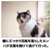 ヒメ日記 2025/03/15 08:03 投稿 体験なな ミセスコレクション