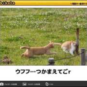 ヒメ日記 2025/03/16 01:35 投稿 体験なな ミセスコレクション