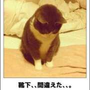 ヒメ日記 2025/03/16 01:43 投稿 体験なな ミセスコレクション