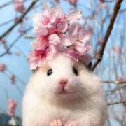 ヒメ日記 2025/03/16 01:55 投稿 体験なな ミセスコレクション