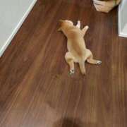 ヒメ日記 2025/03/16 08:13 投稿 体験なな ミセスコレクション