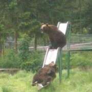 ヒメ日記 2025/03/18 12:08 投稿 体験なな ミセスコレクション