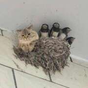 ヒメ日記 2025/03/18 20:32 投稿 体験なな ミセスコレクション