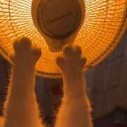 ヒメ日記 2025/03/19 01:43 投稿 体験なな ミセスコレクション