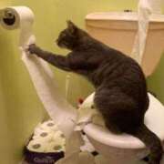 ヒメ日記 2025/03/19 12:05 投稿 体験なな ミセスコレクション