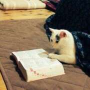 ヒメ日記 2025/03/20 00:13 投稿 体験なな ミセスコレクション