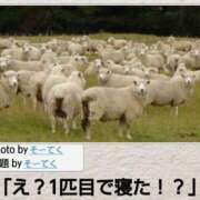 ヒメ日記 2025/03/21 01:03 投稿 体験なな ミセスコレクション