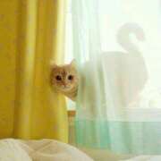 ヒメ日記 2025/03/22 08:13 投稿 体験なな ミセスコレクション