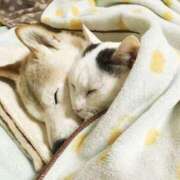 ヒメ日記 2025/03/23 03:13 投稿 体験なな ミセスコレクション