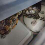 ヒメ日記 2025/03/23 08:13 投稿 体験なな ミセスコレクション