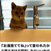 ヒメ日記 2025/03/26 00:26 投稿 体験なな ミセスコレクション