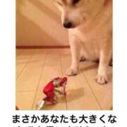 ヒメ日記 2025/03/26 00:33 投稿 体験なな ミセスコレクション