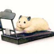 ヒメ日記 2025/03/26 00:13 投稿 体験なな ミセスコレクション