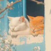 ヒメ日記 2025/03/26 12:12 投稿 体験なな ミセスコレクション