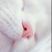 ヒメ日記 2025/03/26 19:26 投稿 体験なな ミセスコレクション