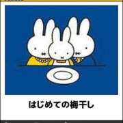 ヒメ日記 2025/03/29 12:04 投稿 体験なな ミセスコレクション