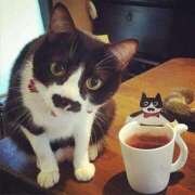 ヒメ日記 2025/04/01 08:04 投稿 体験なな ミセスコレクション