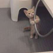 ヒメ日記 2025/04/01 19:13 投稿 体験なな ミセスコレクション