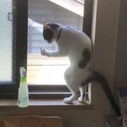 ヒメ日記 2025/04/02 08:13 投稿 体験なな ミセスコレクション