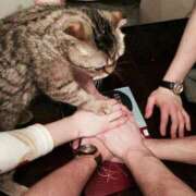 ヒメ日記 2025/04/02 21:24 投稿 体験なな ミセスコレクション