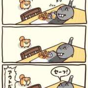 ヒメ日記 2025/04/04 08:13 投稿 体験なな ミセスコレクション